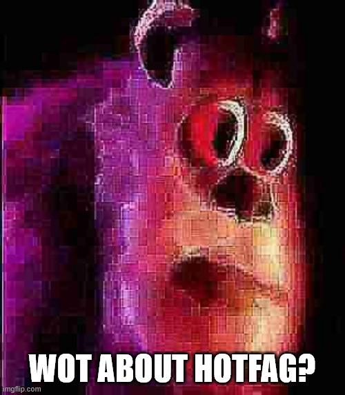 sullivian got shocked | WOT ABOUT HOTFAG? | image tagged in sullivian got shocked | made w/ Imgflip meme maker