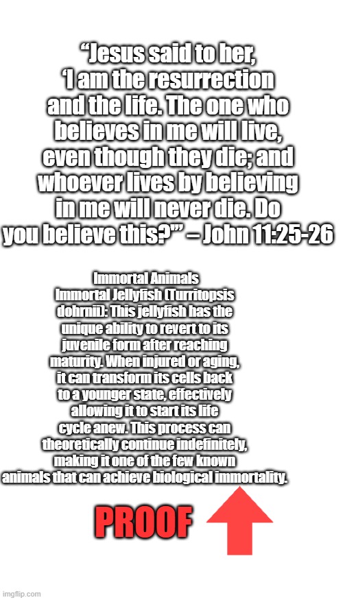 Theres actual evidence of the things Jesus said. All around you. | “Jesus said to her, ‘I am the resurrection and the life. The one who believes in me will live, even though they die; and whoever lives by believing in me will never die. Do you believe this?'” – John 11:25-26; Immortal Animals
Immortal Jellyfish (Turritopsis dohrnii): This jellyfish has the unique ability to revert to its juvenile form after reaching maturity. When injured or aging, it can transform its cells back to a younger state, effectively allowing it to start its life cycle anew. This process can theoretically continue indefinitely, making it one of the few known animals that can achieve biological immortality. PROOF | image tagged in memes,blank transparent square | made w/ Imgflip meme maker