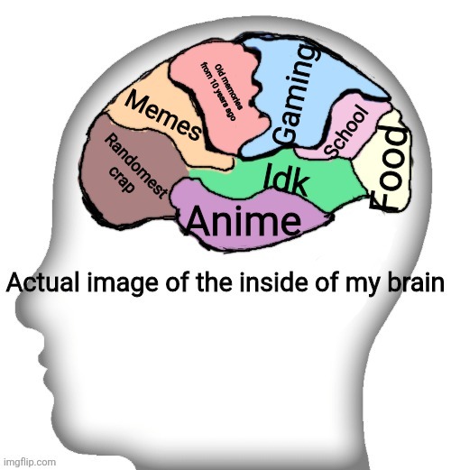 Actual image of the inside of my brain | Gaming; Old memories from 10 years ago; Memes; School; Randomest crap; Food; Idk; Anime | image tagged in actual image of the inside of my brain | made w/ Imgflip meme maker