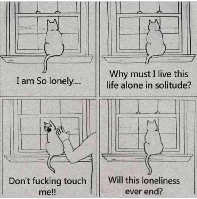 Lonely cat Blank Meme Template