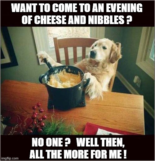 An Insincere Invitation ! | WANT TO COME TO AN EVENING
OF CHEESE AND NIBBLES ? NO ONE ?   WELL THEN,
ALL THE MORE FOR ME ! | image tagged in dogs,invitation,cheese,nibbles | made w/ Imgflip meme maker