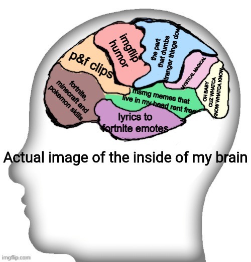 my love is so | the part that dumbs stranger things down; imgflip humor; p&f clips; MYSTICAL MAGICAL; OH BABY CUZ WHATCA KNOW WHATCA KNOW; fortnite, minecraft and pokemon skills; msmg memes that live in my head rent free; lyrics to fortnite emotes | image tagged in actual image of the inside of my brain | made w/ Imgflip meme maker