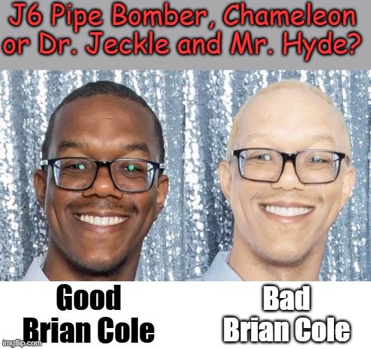 We Distort, You Decide. | J6 Pipe Bomber, Chameleon or Dr. Jeckle and Mr. Hyde? Bad Brian Cole; Good Brian Cole | image tagged in brian cole | made w/ Imgflip meme maker