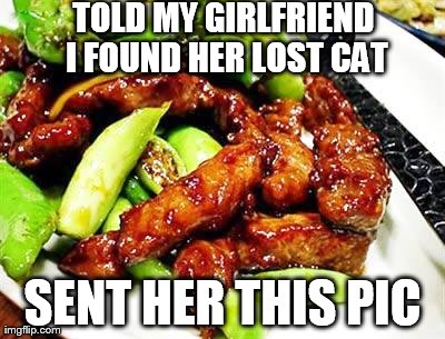 TOLD MY GIRLFRIEND I FOUND HER LOST CAT SENT HER THIS PIC | image tagged in chinese food | made w/ Imgflip meme maker