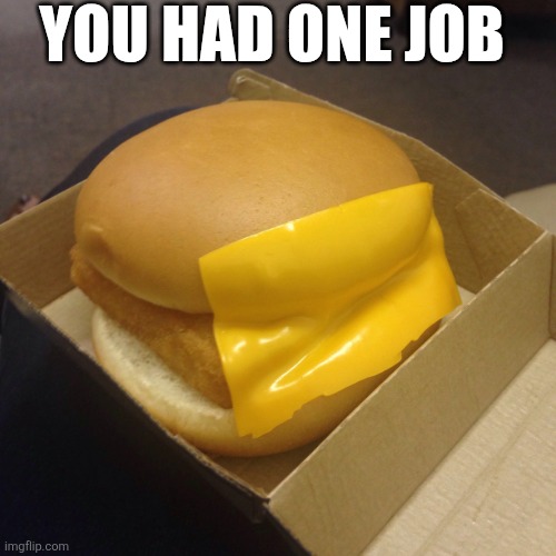 You Had One Job | YOU HAD ONE JOB | image tagged in chrisjoines1 | made w/ Imgflip meme maker
