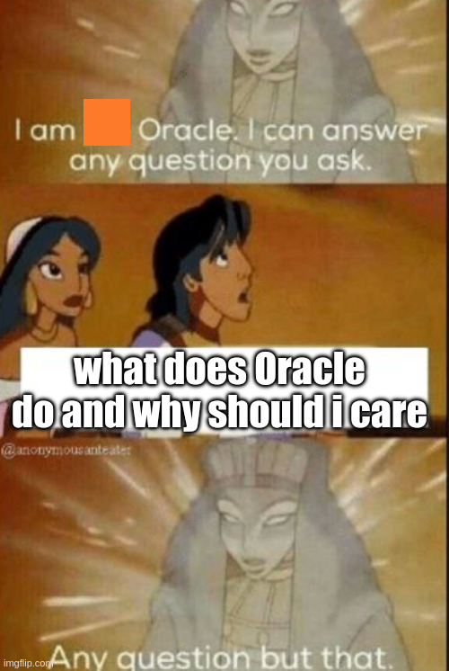 Nobody knows what an ERP does | what does Oracle do and why should i care | image tagged in the oracle | made w/ Imgflip meme maker