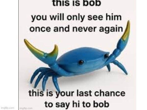 I screenshoted this | image tagged in lol | made w/ Imgflip meme maker