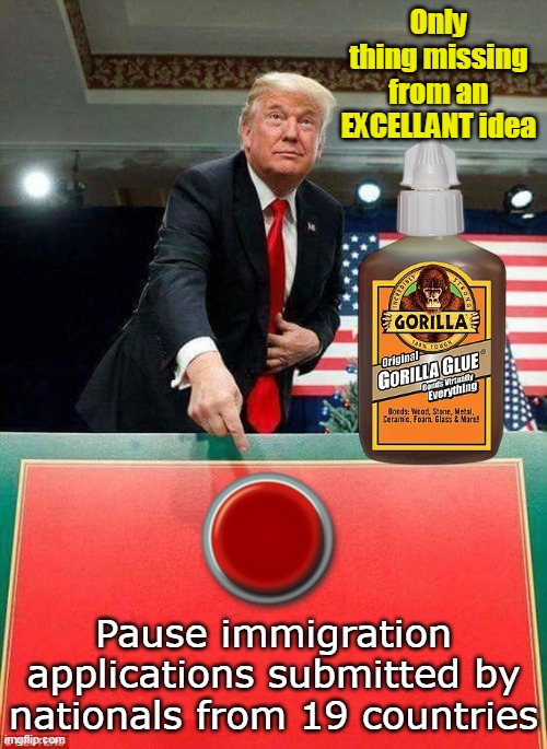 Make it permanent | Only thing missing from an EXCELLANT idea; Pause immigration applications submitted by nationals from 19 countries | image tagged in trump immigration pause meme | made w/ Imgflip meme maker