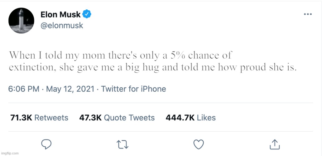 Mommy, look at me! | When I told my mom there's only a 5% chance of extinction, she gave me a big hug and told me how proud she is. | image tagged in elon musk blank tweet | made w/ Imgflip meme maker