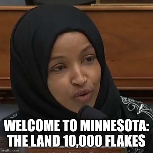 Ilhan Omar | WELCOME TO MINNESOTA: THE LAND 10,000 FLAKES | image tagged in ilhan omar,minnesota | made w/ Imgflip meme maker