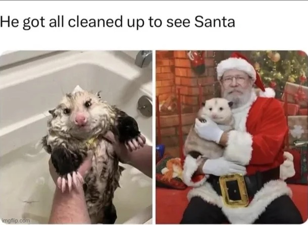 Opossum | made w/ Imgflip meme maker