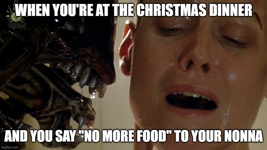nonna | WHEN YOU'RE AT THE CHRISTMAS DINNER; AND YOU SAY "NO MORE FOOD" TO YOUR NONNA | image tagged in ripley-aliens | made w/ Imgflip meme maker