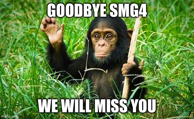 goodbye | GOODBYE SMG4; WE WILL MISS YOU | image tagged in goodbye | made w/ Imgflip meme maker