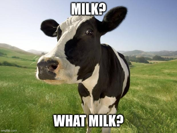 cow | MILK? WHAT MILK? | image tagged in cow | made w/ Imgflip meme maker