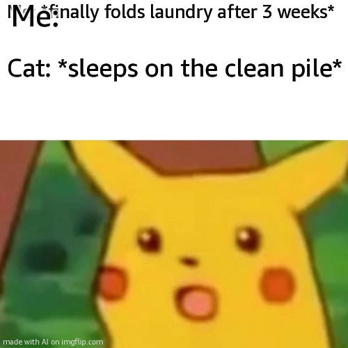 troll cat | Me:; Me: *finally folds laundry after 3 weeks*; Cat: *sleeps on the clean pile* | image tagged in memes,surprised pikachu | made w/ Imgflip meme maker