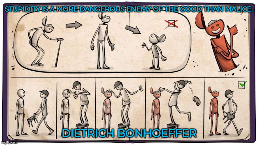 Stupidity is a more dangerous enemy of the good than malice. | STUPIDITY IS A MORE DANGEROUS ENEMY OF THE GOOD THAN MALICE. DIETRICH BONHOEFFER | image tagged in bonhoeffer's theory of stupidity,human stupidity,malice,goodness,christianity | made w/ Imgflip meme maker