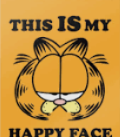 This my happy face Blank Meme Template