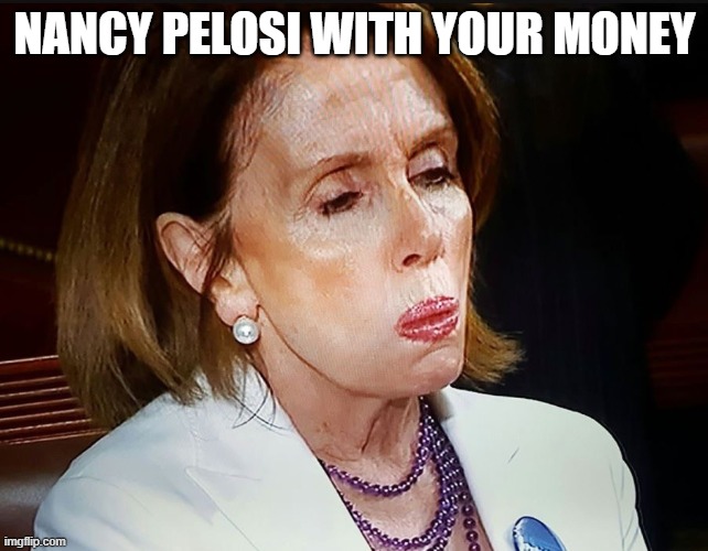 Nancy Pelosi PB Sandwich | NANCY PELOSI WITH YOUR MONEY | image tagged in nancy pelosi pb sandwich | made w/ Imgflip meme maker