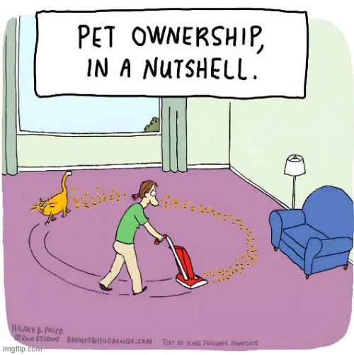 Pet ownership | image tagged in repost,pet ownership | made w/ Imgflip meme maker