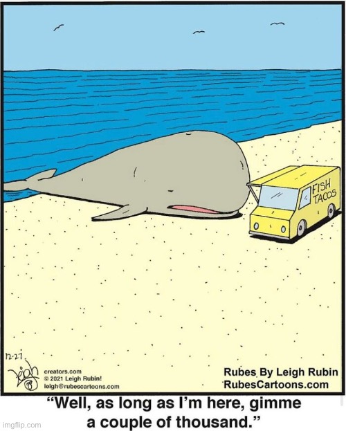 Rubes | image tagged in comics,rubes,beach,whale,taco truck | made w/ Imgflip meme maker