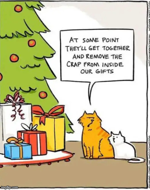 Last in line | image tagged in repost,last in line | made w/ Imgflip meme maker