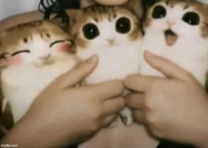 Who wants to have a triple shared temp w/ me | made w/ Imgflip meme maker