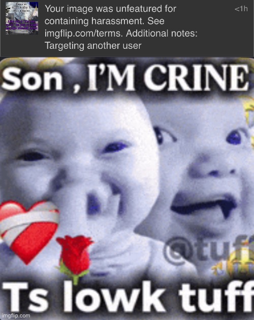 >states actual facts about a user >post removed | image tagged in son im crine | made w/ Imgflip meme maker