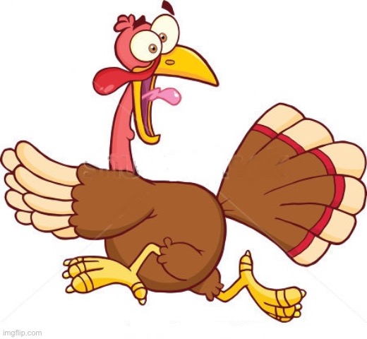 image tagged in turkey scared | made w/ Imgflip meme maker