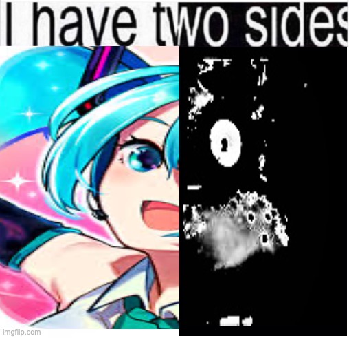 i have two sides | image tagged in i have two sides | made w/ Imgflip meme maker