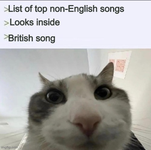 Cat looks inside | List of top non-English songs Looks inside British song | image tagged in cat looks inside | made w/ Imgflip meme maker