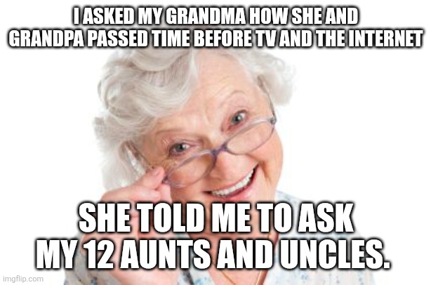 Hot dang | I ASKED MY GRANDMA HOW SHE AND GRANDPA PASSED TIME BEFORE TV AND THE INTERNET; SHE TOLD ME TO ASK MY 12 AUNTS AND UNCLES. | image tagged in grandma that's nice cool story bro | made w/ Imgflip meme maker