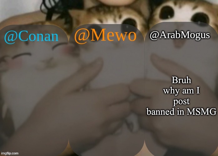 Conan, Mewo, Arabmogus shared template | Bruh why am I post banned in MSMG | image tagged in conan mewo arabmogus shared template | made w/ Imgflip meme maker
