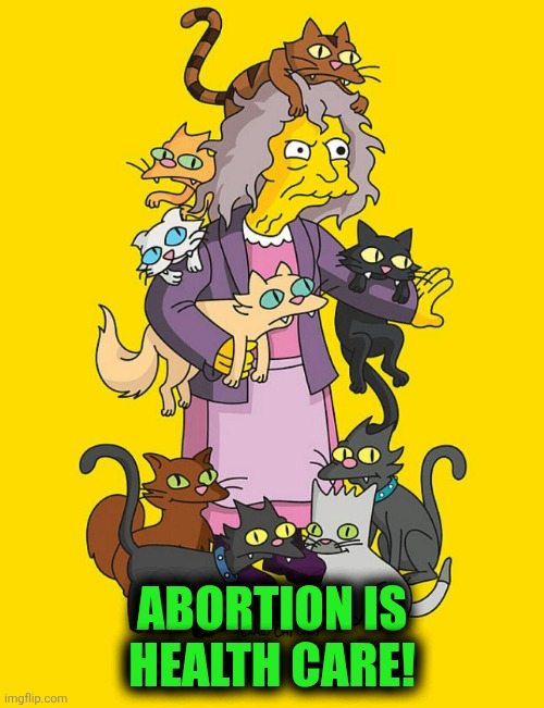 ABORTION IS HEALTH CARE! | image tagged in crazy cat lady | made w/ Imgflip meme maker