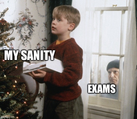 Exam season…. ? | MY SANITY; EXAMS | image tagged in home alone decorating tree | made w/ Imgflip meme maker