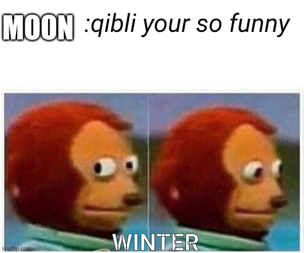 Monkey Puppet | MOON; :qibli your so funny; WINTER | image tagged in memes,monkey puppet | made w/ Imgflip meme maker