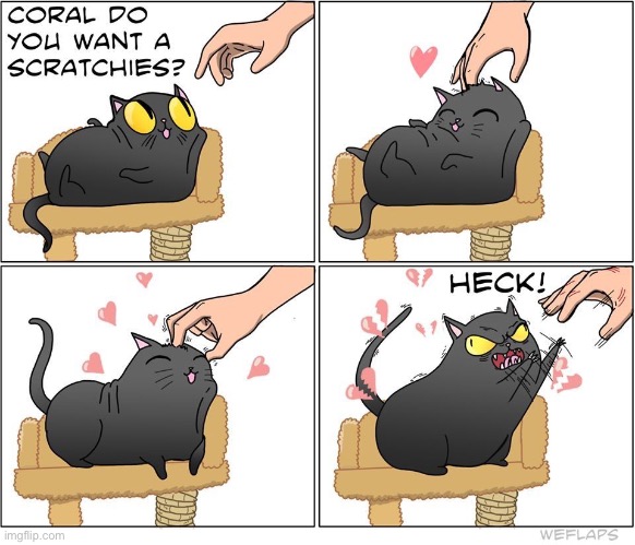 WeFlaps | image tagged in cats,comics,weflaps,coral,scratchies | made w/ Imgflip meme maker