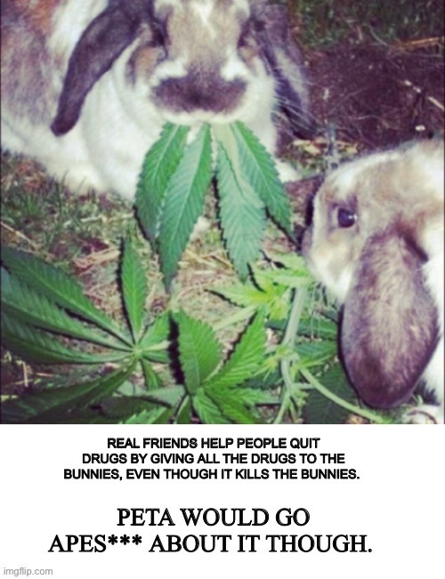 Relax liberals, I love rabbits | image tagged in memes,bunnies | made w/ Imgflip meme maker