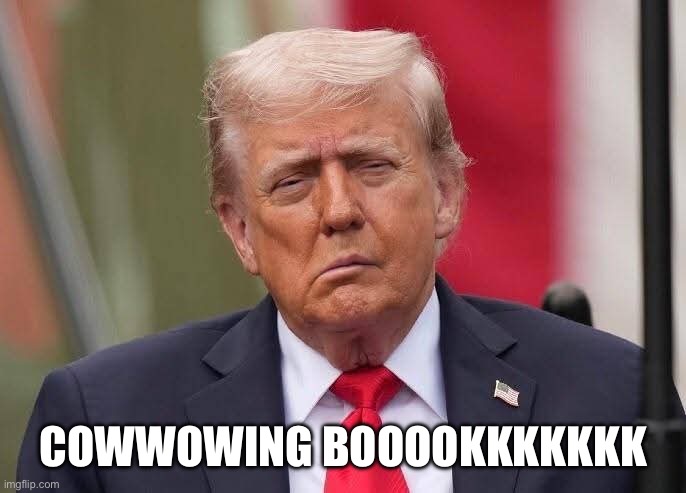 Donald Trump Stroke | COWWOWING BOOOOKKKKKKK | image tagged in donald trump stroke | made w/ Imgflip meme maker