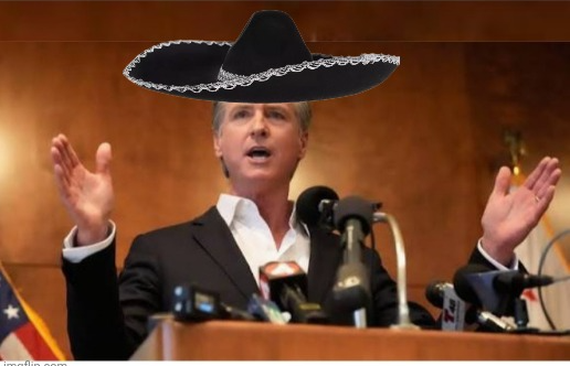 Gavin Newsom lying again Blank Meme Template