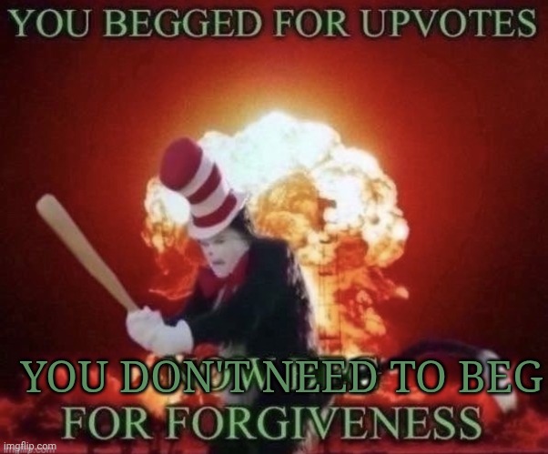 Beg for forgiveness | YOU DON'T NEED TO BEG | image tagged in beg for forgiveness | made w/ Imgflip meme maker