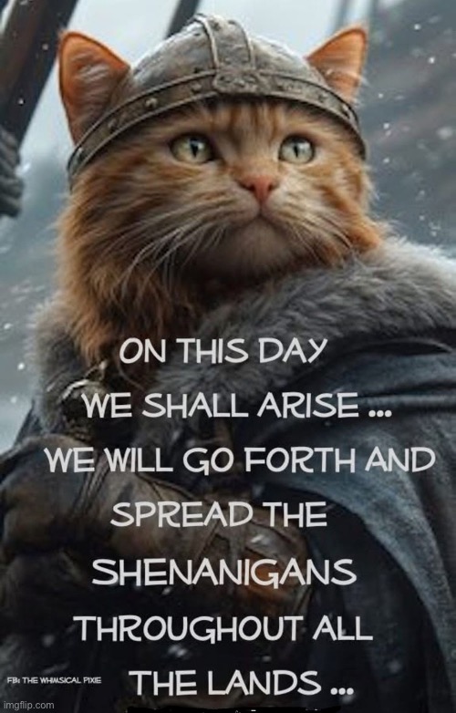 Cats are geniuses at shenanigans… | image tagged in cats,shenanigans | made w/ Imgflip meme maker