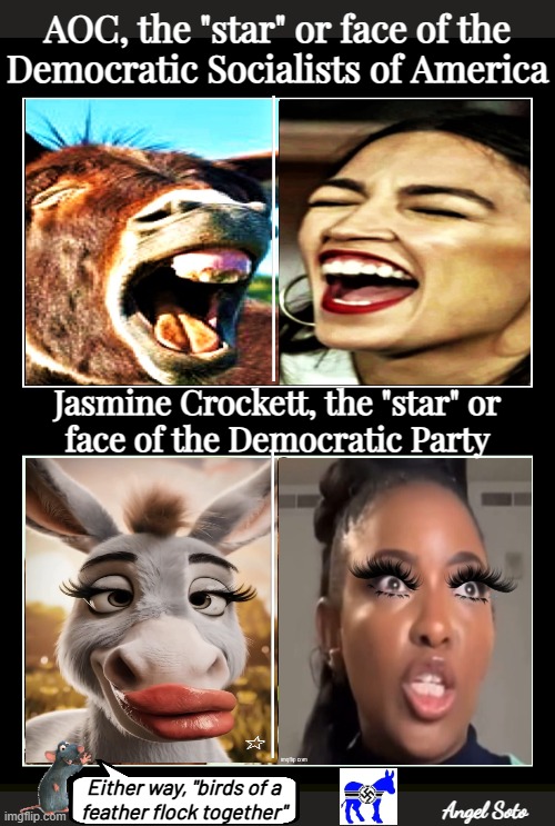 Jasmine Crockett, the face of the democrat party | AOC, the "star" or face of the
Democratic Socialists of America; Jasmine Crockett, the "star" or
face of the Democratic Party; Either way, "birds of a
feather flock together"; Angel Soto | image tagged in aoc the face of democratic socialists of america,aoc,jasmine crockett,democrat party,democratic socialism,birds of a feather | made w/ Imgflip meme maker