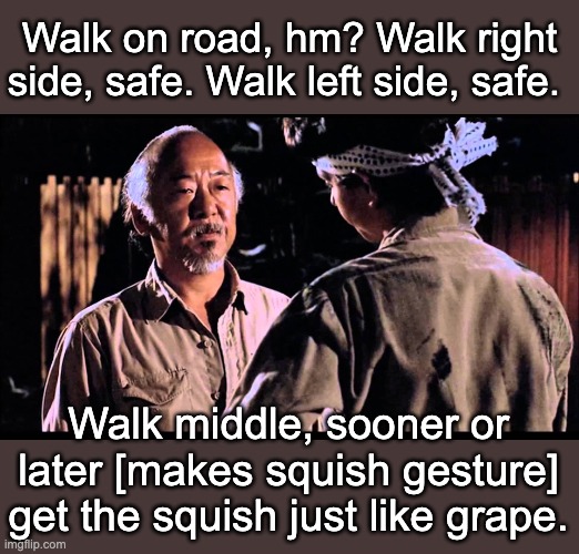 Wisdom for radical times | Walk on road, hm? Walk right side, safe. Walk left side, safe. Walk middle, sooner or later [makes squish gesture] get the squish just like grape. | image tagged in mr miyagi,movie,quotes | made w/ Imgflip meme maker