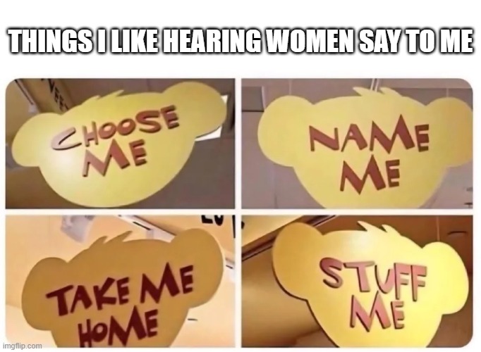 Say It Ladies | THINGS I LIKE HEARING WOMEN SAY TO ME | image tagged in sex jokes | made w/ Imgflip meme maker