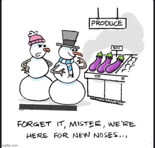 Snowman Parts | image tagged in sex jokes | made w/ Imgflip meme maker