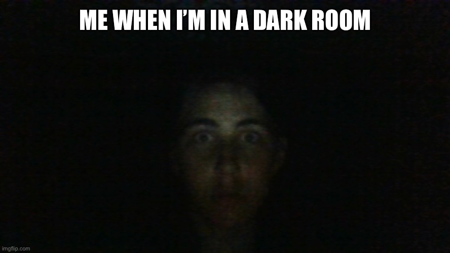 the horror | ME WHEN I’M IN A DARK ROOM | image tagged in the horror | made w/ Imgflip meme maker