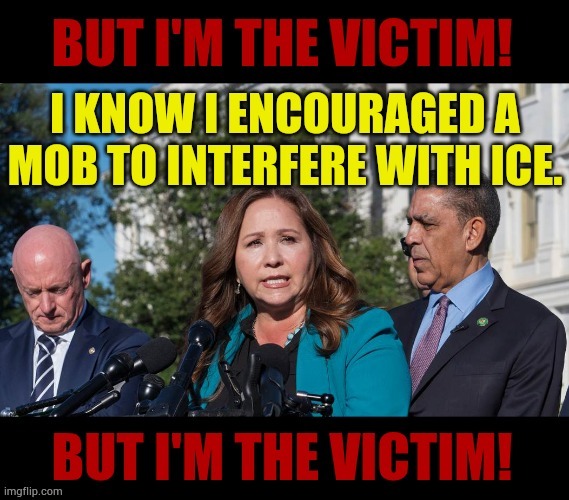 Democrat Rep. Adelita Grijalva | image tagged in memes,arizona,democrat,mob,against,ice | made w/ Imgflip meme maker