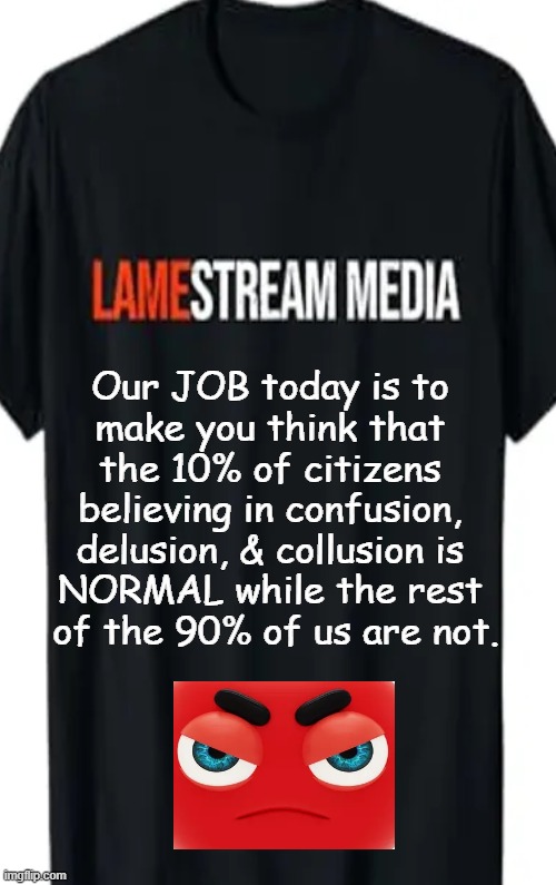 Support of a radical agenda is so ridiculous that rational people reject the lying media | Our JOB today is to 
make you think that 
the 10% of citizens 
believing in confusion, 
delusion, & collusion is 
NORMAL while the rest 
of the 90% of us are not. | image tagged in mainstream media,liberal media,radical,democratic socialism,communist socialist,agenda | made w/ Imgflip meme maker