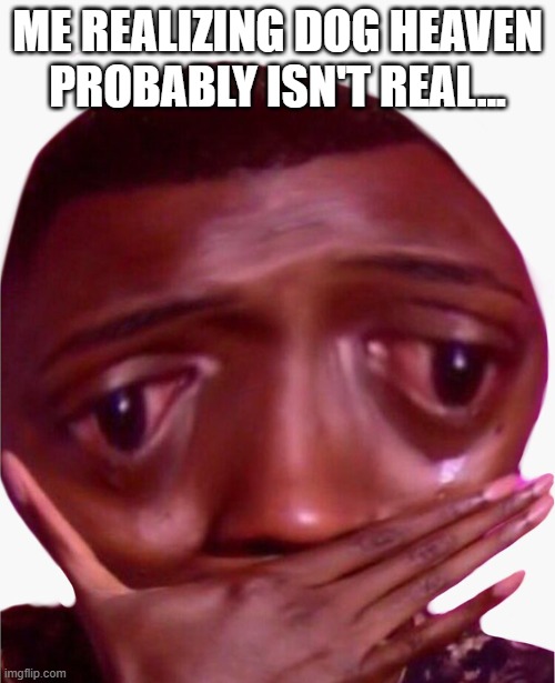 WHY!?!?!? | ME REALIZING DOG HEAVEN PROBABLY ISN'T REAL... | image tagged in funny memes | made w/ Imgflip meme maker