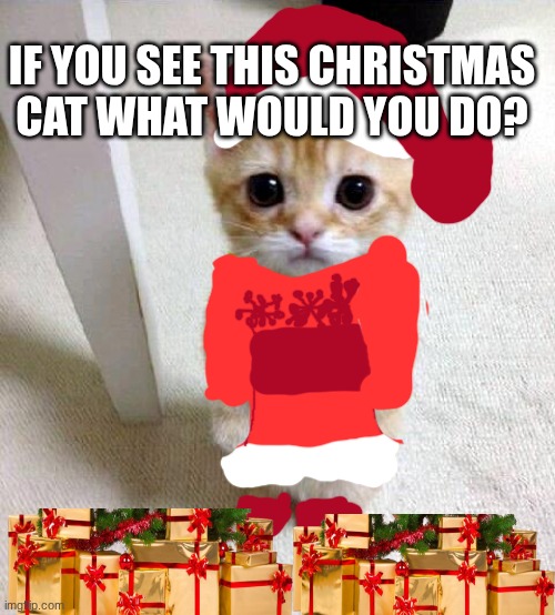 Christmas cat | IF YOU SEE THIS CHRISTMAS CAT WHAT WOULD YOU DO? | image tagged in memes,cute cat | made w/ Imgflip meme maker